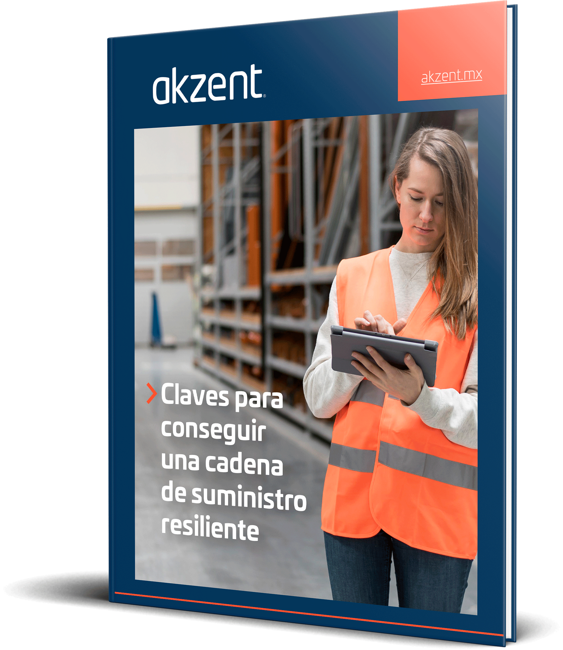 Claves Para Conseguir Una Cadena De Suministro Resiliente 9510